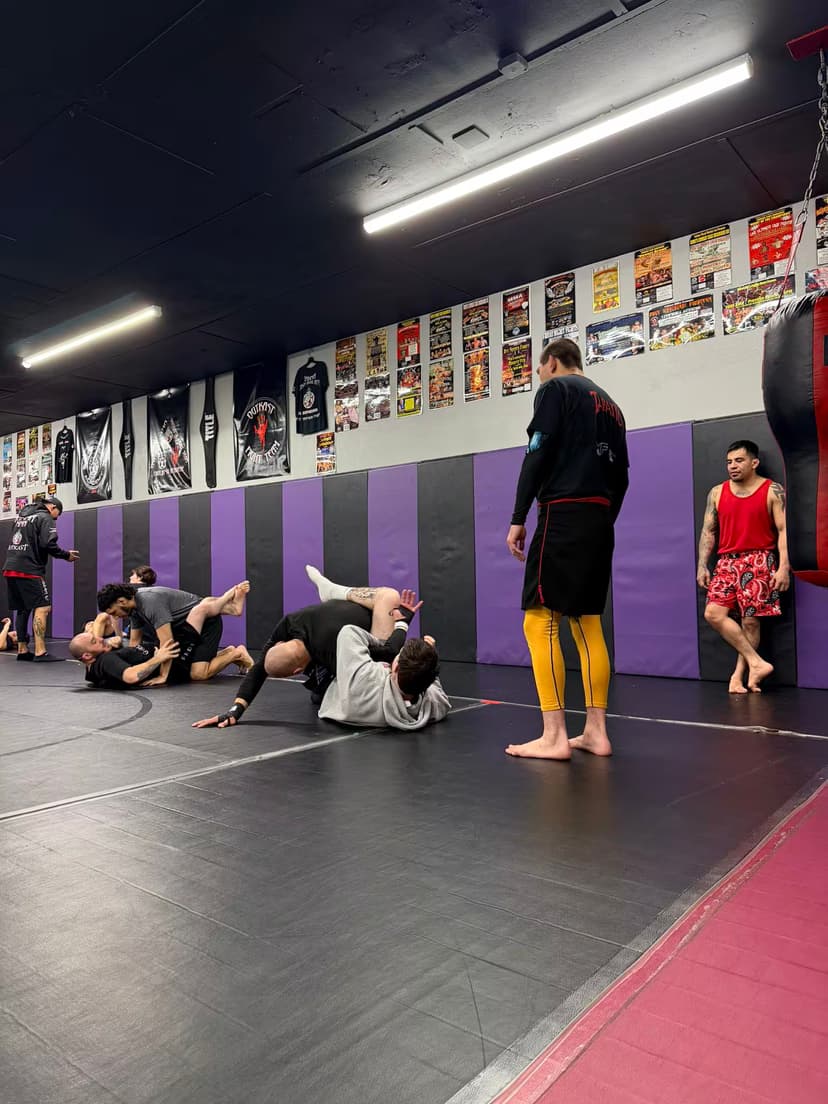 supervised sparring