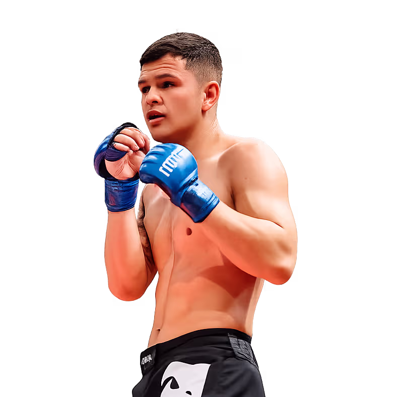 fighter